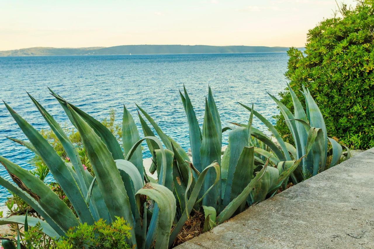 Holiday Home Lola, Sea On A Palm! Heated Pool Trogir Zewnętrze zdjęcie